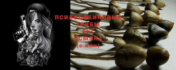 spice Карталы