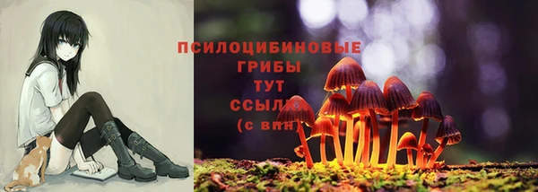 spice Карталы