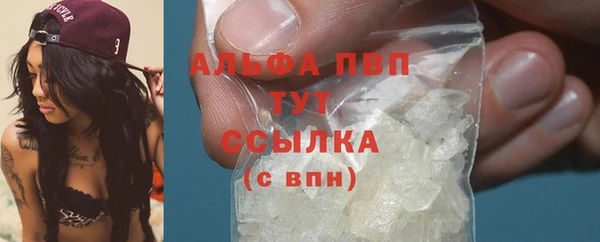 прущие грибы Карпинск