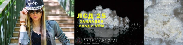 прущие грибы Карпинск
