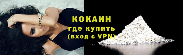 прущие грибы Карпинск