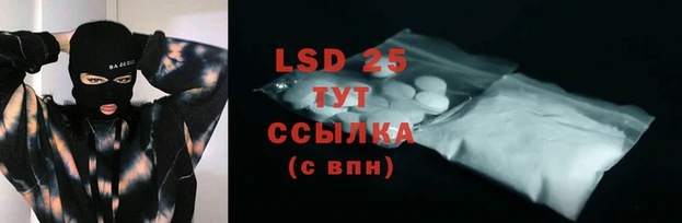 прущие грибы Карпинск