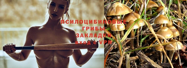 ПСИЛОЦИБИНОВЫЕ ГРИБЫ Аксай
