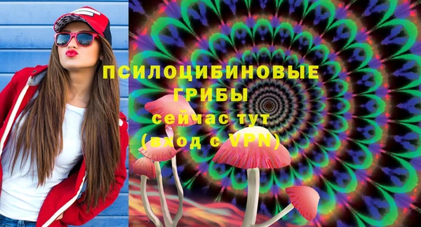 PSILOCYBIN Киреевск