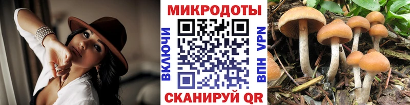 гидра как войти  Кораблино  Галлюциногенные грибы ЛСД  наркошоп 